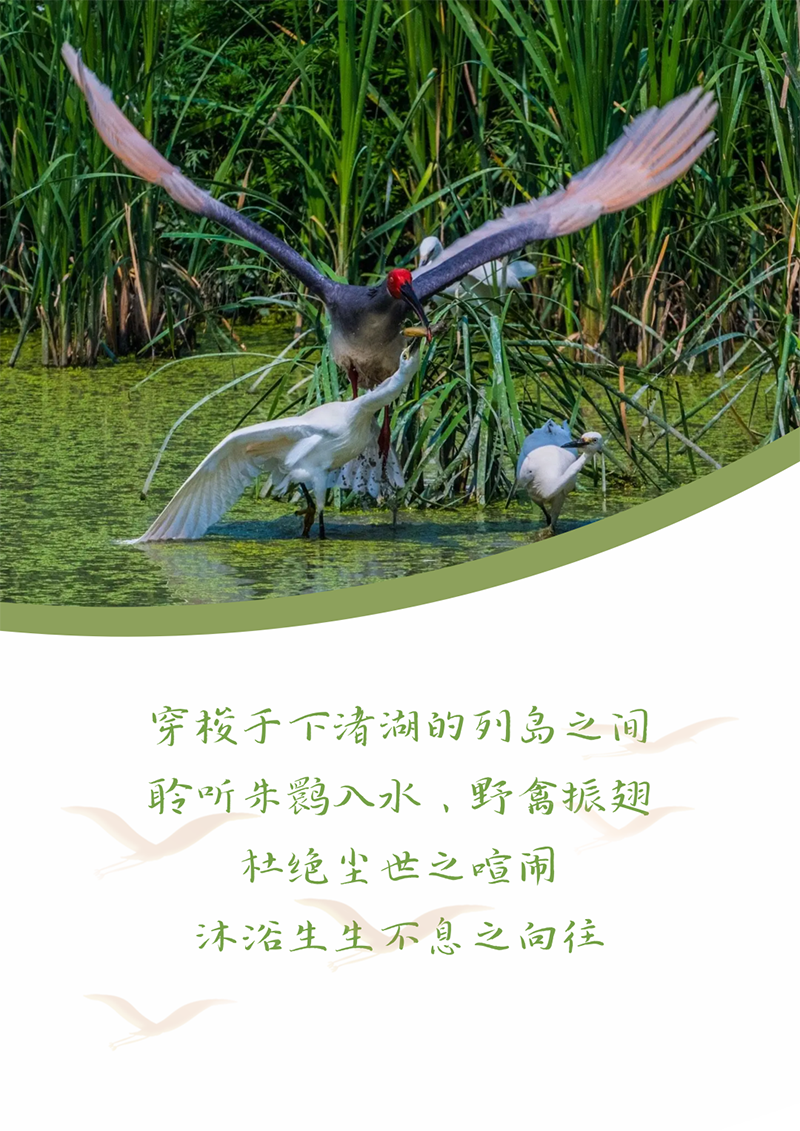 心心念廿 相伴AG尊时凯龙 | 与德清相约 贺廿载诞辰